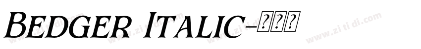 Bedger Italic字体转换 Bedger Italic字体转换